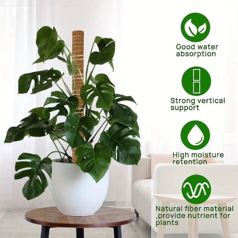 Natural Coir Climbing Pole