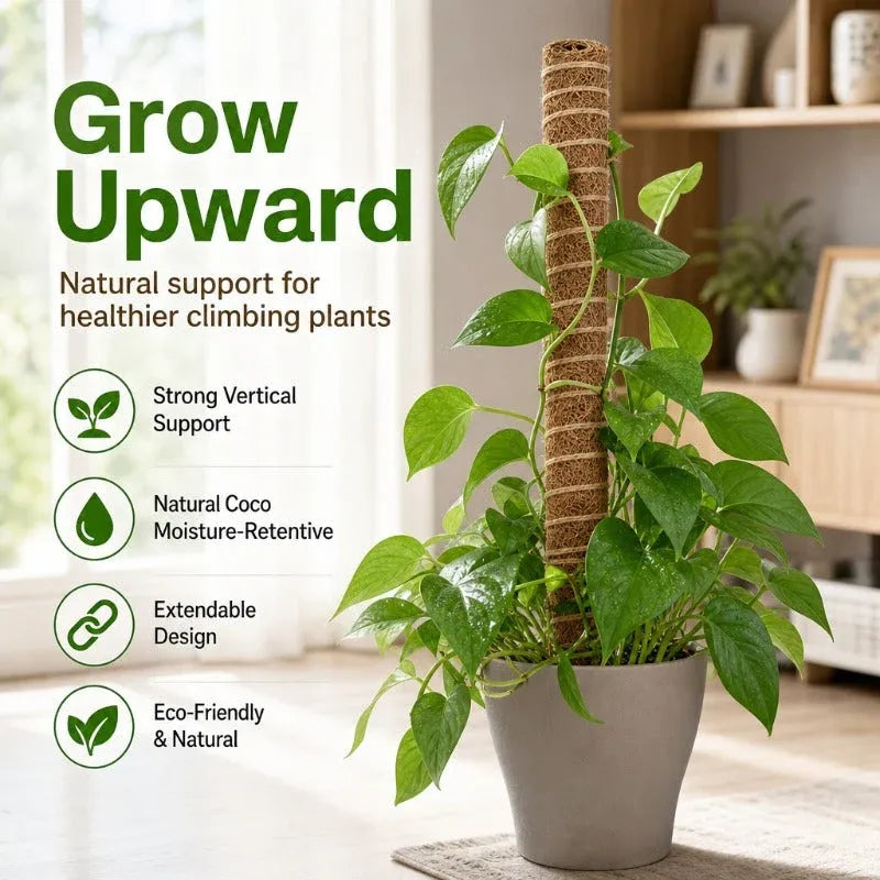 Natural Coir Climbing Pole
